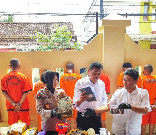 Jaringan Pengedar Ganja Terbongkar, Pengiriman ke Jogja Dibungkus T-shirt