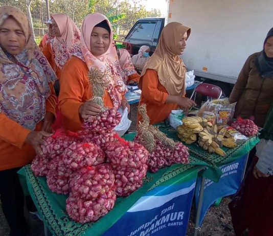 Agro Electrifying Tingkatkan Panen Bawang Merah DIY
