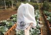 Pupuk Dinosaurus, Hadiah Lebaran yang Bawa Harapan bagi Petani di Kampung Halaman