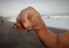 Puluhan Anak-Anak Jadi Korban Ubur-Ubur “Lucu” di Pantai Selatan Yogyakarta