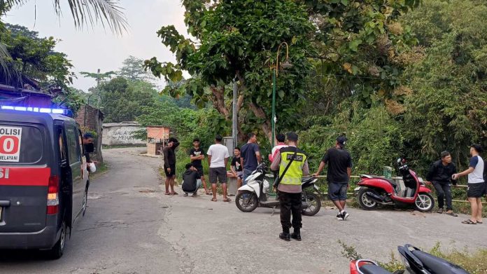 IMG-20251007-WA0066 (1)