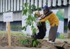 Unisa Yogyakarta Gaungkan Gerakan Kampus Hijau Lewat Unisa Festival