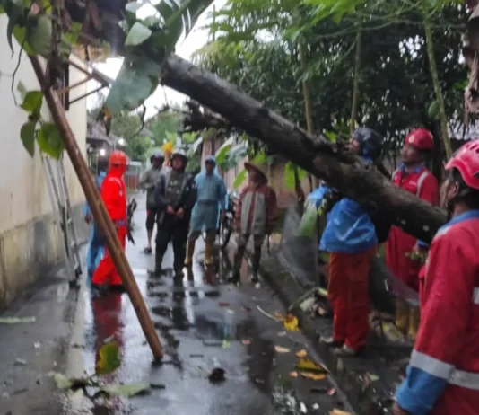 Hujan dan Angin Kencang Landa Jogja, 8 Kapanewon di Sleman Terdampak Paling Parah