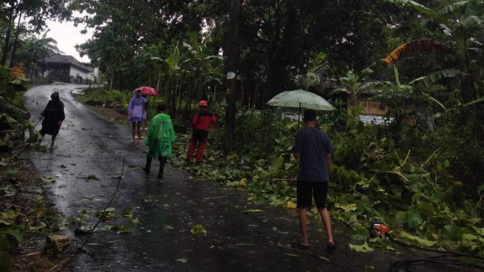 IMG-20260218-WA0065 (1)