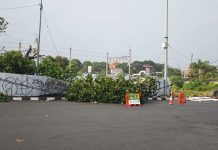 Angin Kencang Terjang Jogja, Pohon Tumbang Lumpuhkan Sejumlah Jalan