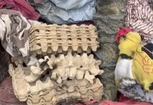 Sprei Dijemur Mendadak Terbakar, Keluarga Catat 81 Kejadian Api Misterius di Seyegan