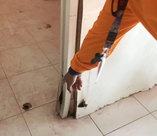 Penyebab Api Misterius di Sayegan Terungkap, Gas Hidrogen Dipantik Limbah Pemotongan Ayam