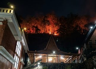 Lima Hektare Lahan di Imogiri Terbakar, Relawan Sebut Kebakaran Berulang Dipicu Ulah Warga